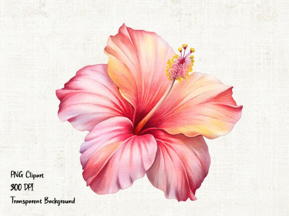 Download Pink Hibiscus Flower PNG Clipart - Pink Collection